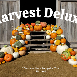 Harvest Deluxe