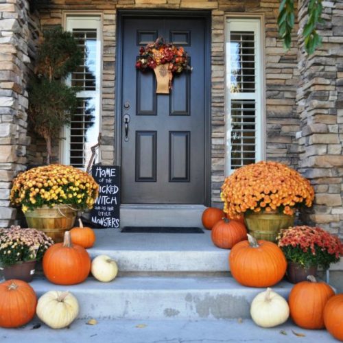 1672243032_idei-club-p-dekorativnaya-tikva-v-landshaftnom-dizaine-36-1