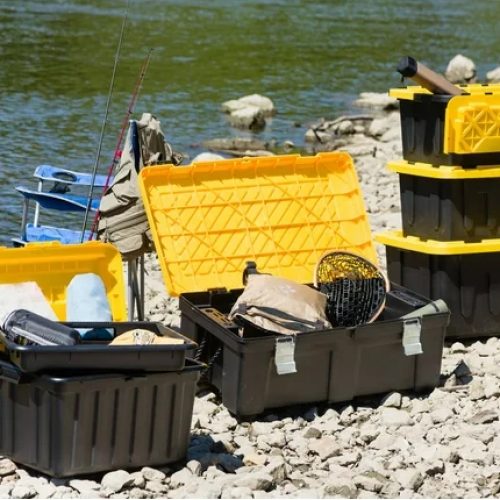 b863a5fc-f3a5-4721-bce3-5256e2728434_8.89f131e077c5d33b432a77fc5f41957e